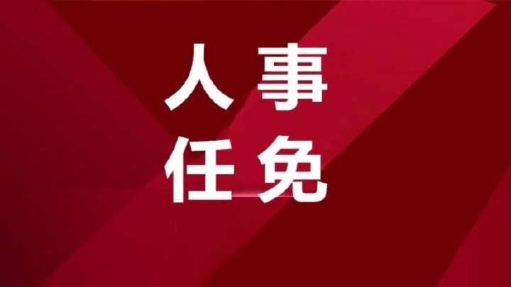 江苏最新人事任免公告