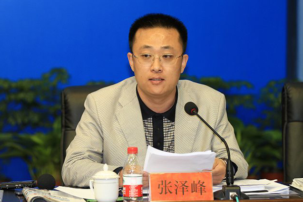 石家庄罗二虎现任职务详解，全面了解与查询步骤指南