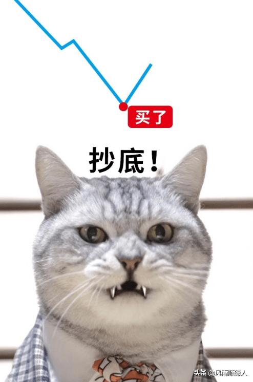 最近基金行情深度解析，你准备好迎接市场变化了吗？