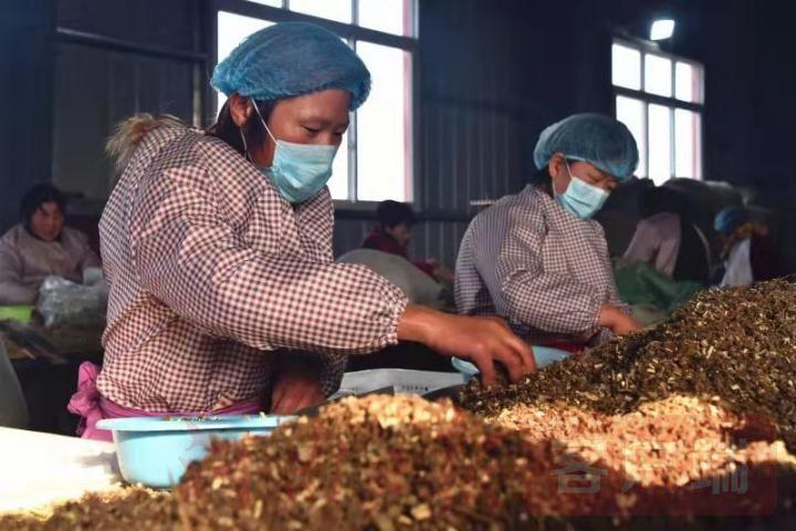 南阳足疗中心招聘启事