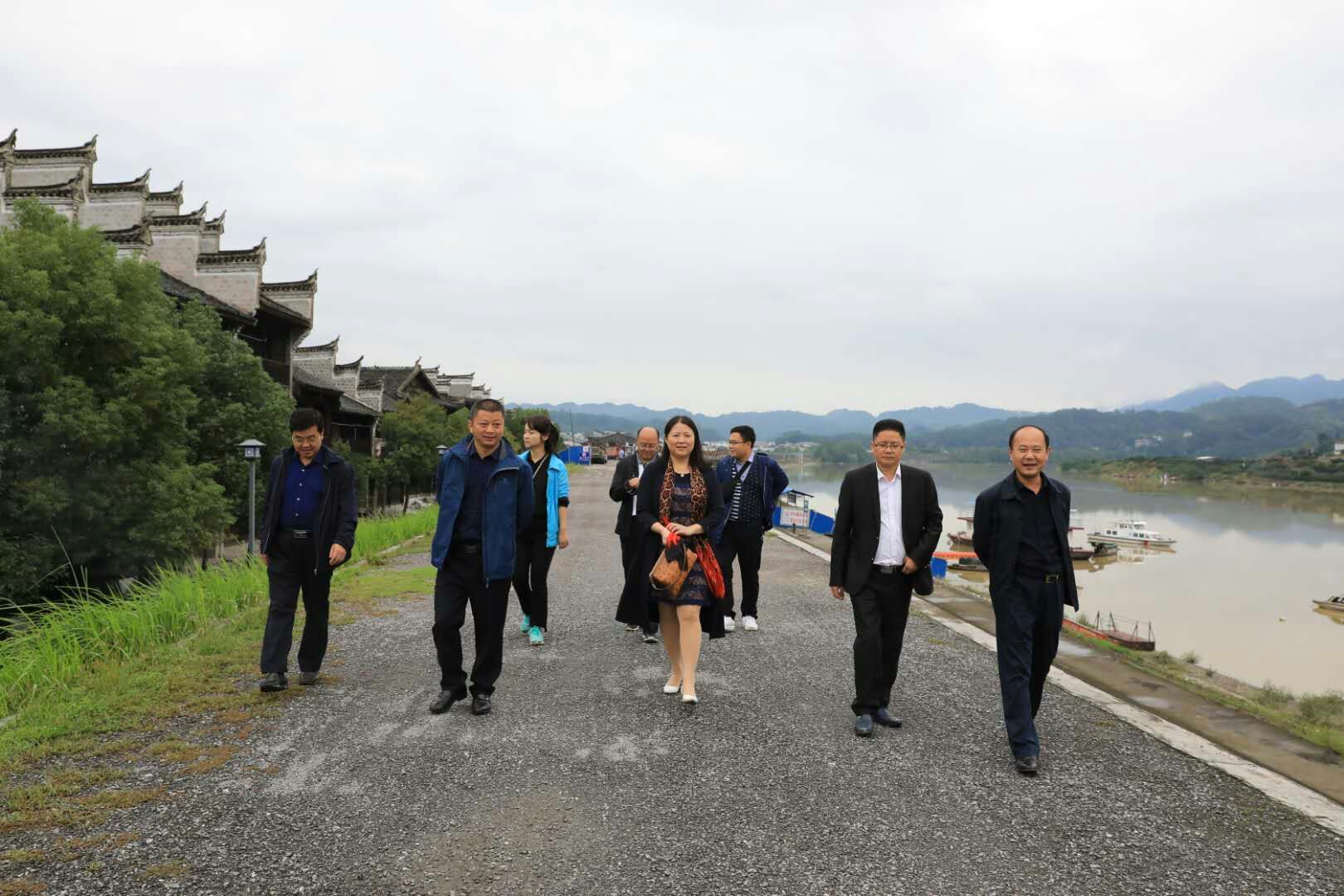里耶最新动态，背景、重大事件与地位影响的全面回顾