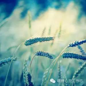 探索美文魅力与美图艺术价值的最新唯美美文美图集