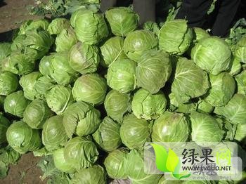 中西餐炉具 第11页