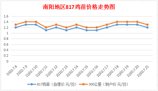 揭秘小巷深处的817鸡苗乐园，最新价格一网打尽